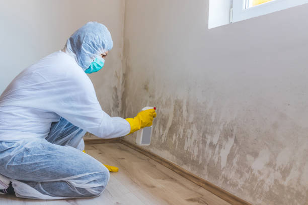 Crawl Space Mold Remediation treatment of floor joists in Alexandria